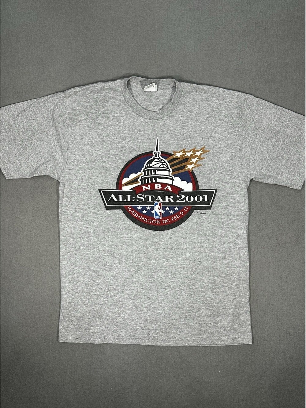 Vintage 2001 NBA All Star Washington DC T Shirt Mens XL Lee Sport Gray